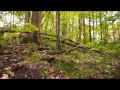 Eternal Sunshine of My Spotless Mind [OFFiCIAL ViDEO]