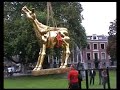 Theo Mackaay Gouden Kalf Utrecht Filmdagen