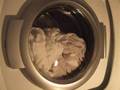 Asko W6562 Washing