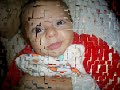 o filho do ano    