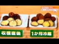 茨城産栗のベクレル Becquerels of Ibaraki-chestnuts. MIRMC Report 14 ベクレル