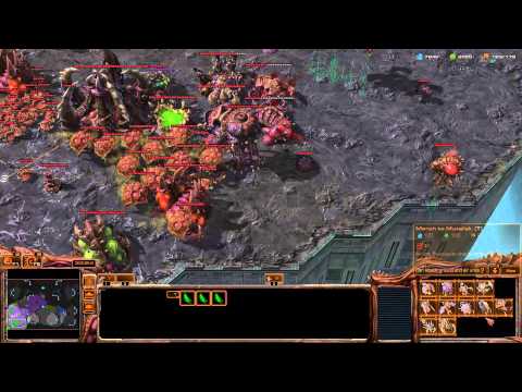 starcraft 2 zerg