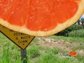 Border Wall Threatening College Campus