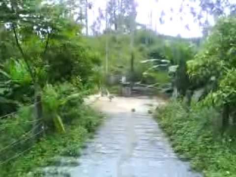 2009/05/17 嘉義縣中埔鄉豐山生態園區 Feng-shan,Chiayi County,Taiwan
