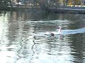 rc ekranoplan 4