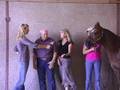 2007 American Quarter Horse Assn. NCHA Sire of the Year