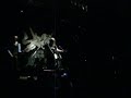 the cult - wild flower