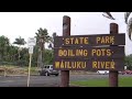 Hilo Falls