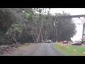 Hilo Falls
