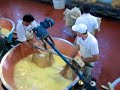 Making Parmigiano Reggiano