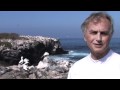 RDF TV - Insurance Policy: Two Eggs, One Survivor - Richard Dawkins
