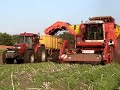 Grimme Tectron 415 Trekkerweb.nl