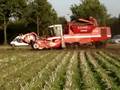Grimme Tectron 415 Trekkerweb.nl