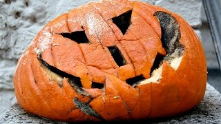 PINTERTEST- MAKING PUMPKINS LAST FOREVER?
