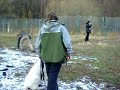 ползи