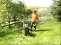 Cutting the Cherry Tree