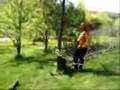 Cutting the Cherry Tree