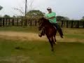 el llanero solitario de pivijay