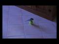 Cosmo The Budgie - Dancing Like Matt