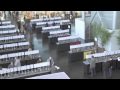 Ver Video