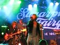 Sugarplum Fairy Hulstfred 2008 New Song - The Escapologist