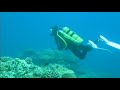 Diving In March In The Maldives