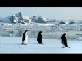 BBC I player Pinguins Flying Around The Globe