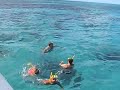 Coral Reef, Cuba, Caribbean sea