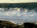 videos de Fort Pond Bay 11/22/08