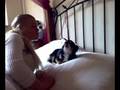 Zingende hond
