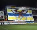 STVV-Standard STVV-Standard