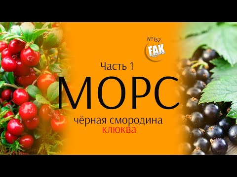 Морс из клюквы и чёрной смородины. Часть 1