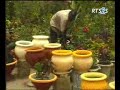 Mbalakh - Adja Sy : Taggàtoo Mbalakh - Adja Sy : Taggàtoo