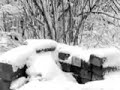 "A Child's Christmas in Wales by Dylan Thomas (2/2) - free flv video @ vwatch.tv