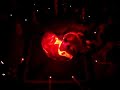 BELLYDANCE XALAPA MALIK AZRAQ BELLYDANCE XALAPA MALIK AZRAQ