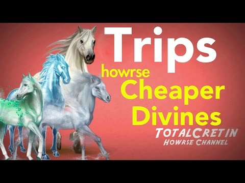 how to start off your ec on howrse