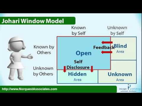 how to use the johari window