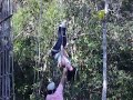 Pêndulo Humano Pêndulo Humano