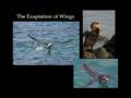 Michael Shermer - Evolutionary Economics (part 2)