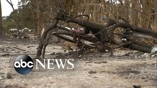Losing Everything: 19,000 People Displaced by Wildfires