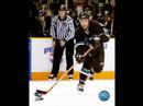 San Jose Sharks San Jose Sharks