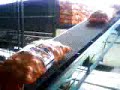Carregando A Cebola pro belem