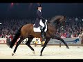 Show jumping, cross country and dressage.