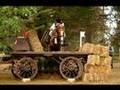 Show jumping, cross country and dressage.