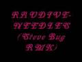 Raudive-Needles(Steve Bug RMX)