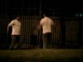 videos de Pelea