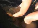 our first year of carp fishing in sweden / rasmus ljungqvist & niclas olsson