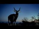 blip-rest-my-chemistry-interpol.html