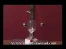 Great Wine Glasses Revealed Great Wine Glasses Revealed