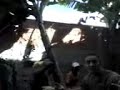 Documentário animal